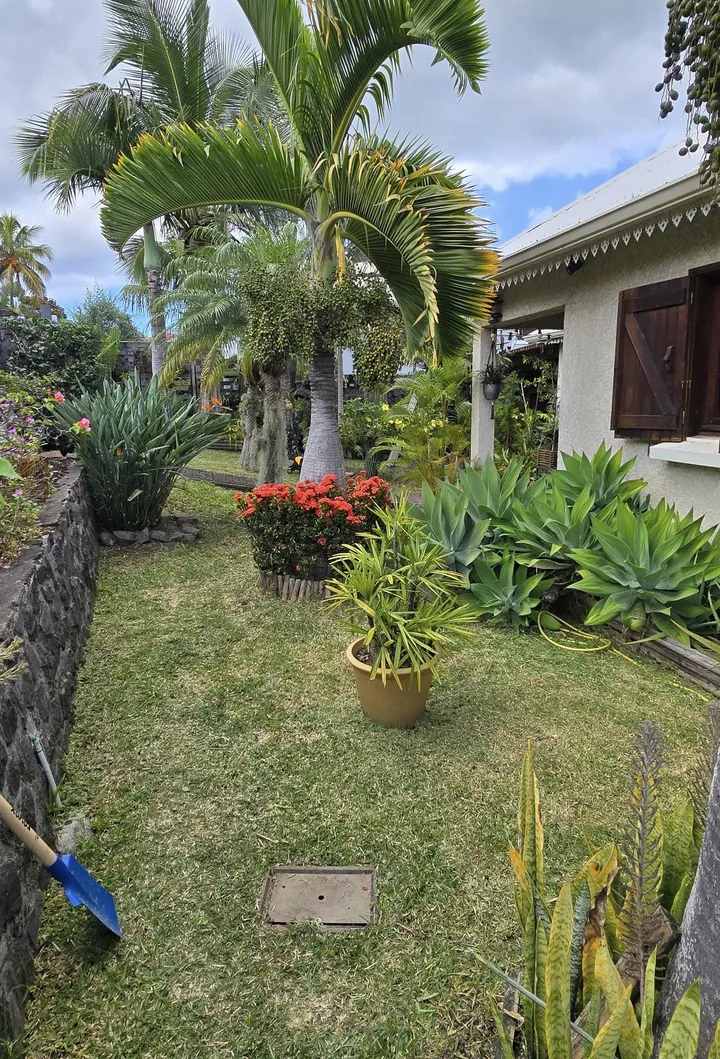 Jardin tropical sublimé par Vert Péi